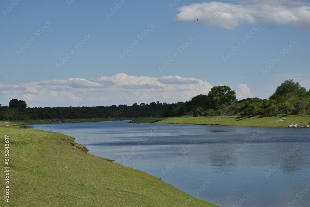 landscape with lake