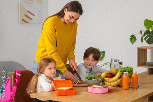 Mother preparing school lun...