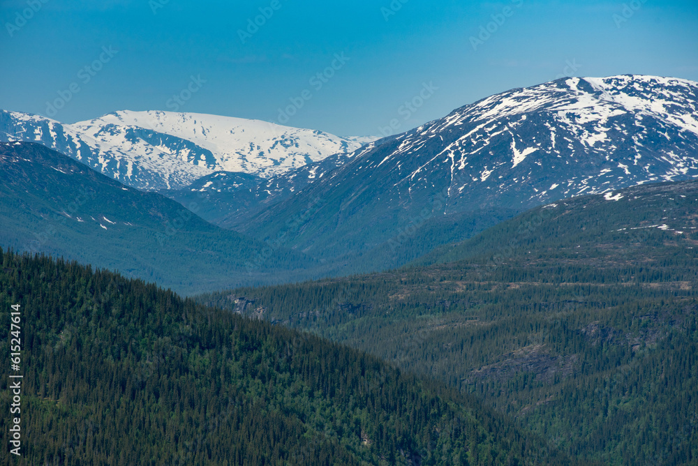 Mountain view from Risfjellet, Mo i Rana, Norway. Norwegian mountain landscape in early summer with snow on the high mountain peaks. Pine trees and high altitude. Mountain lake, fjord. Blue and green. Mountain view from Risfjellet, Mo i Rana, Norway. Norwegian mountain landscape in early summer with snow on the high mountain peaks. Pine trees and high altitude. Mountain lake, fjord. Blue and green.