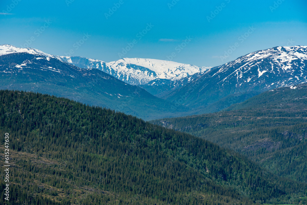 Mountain view from Risfjellet, Mo i Rana, Norway. Norwegian mountain landscape in early summer with snow on the high mountain peaks. Pine trees and high altitude. Mountain lake, fjord. Blue and green.