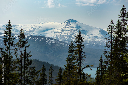 Mountain view from Risfjellet, Mo i Rana, Norway. Norwegian mountain landscape in early summer with snow on the high mountain peaks. Pine trees and high altitude. Mountain lake, fjord. Blue and green. photo