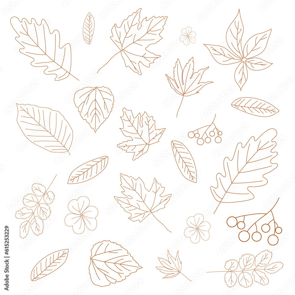 A set of different autumn leaves in brown out line style on white background for wallpapers, banners, webs A set of different autumn leaves in brown out line style on white background for wallpapers, banners, webs