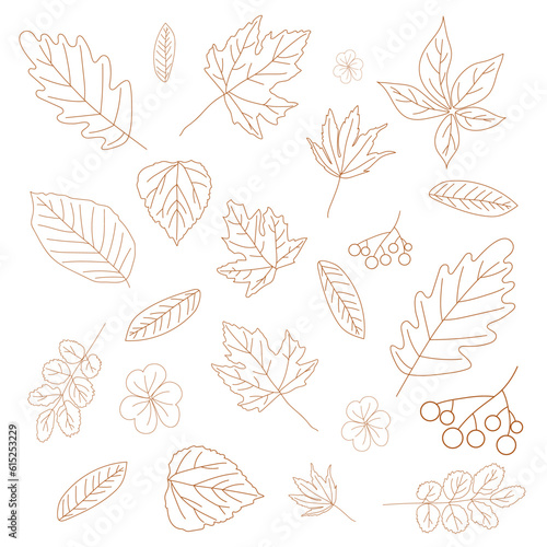 A set of different autumn leaves in brown out line style on white background for wallpapers, banners, webs