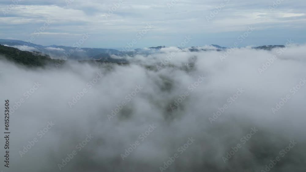Mountains covered in mist, surrounded by lush green rainforest. Cameron Highland Mountains covered in mist, surrounded by lush green rainforest. Cameron Highland
