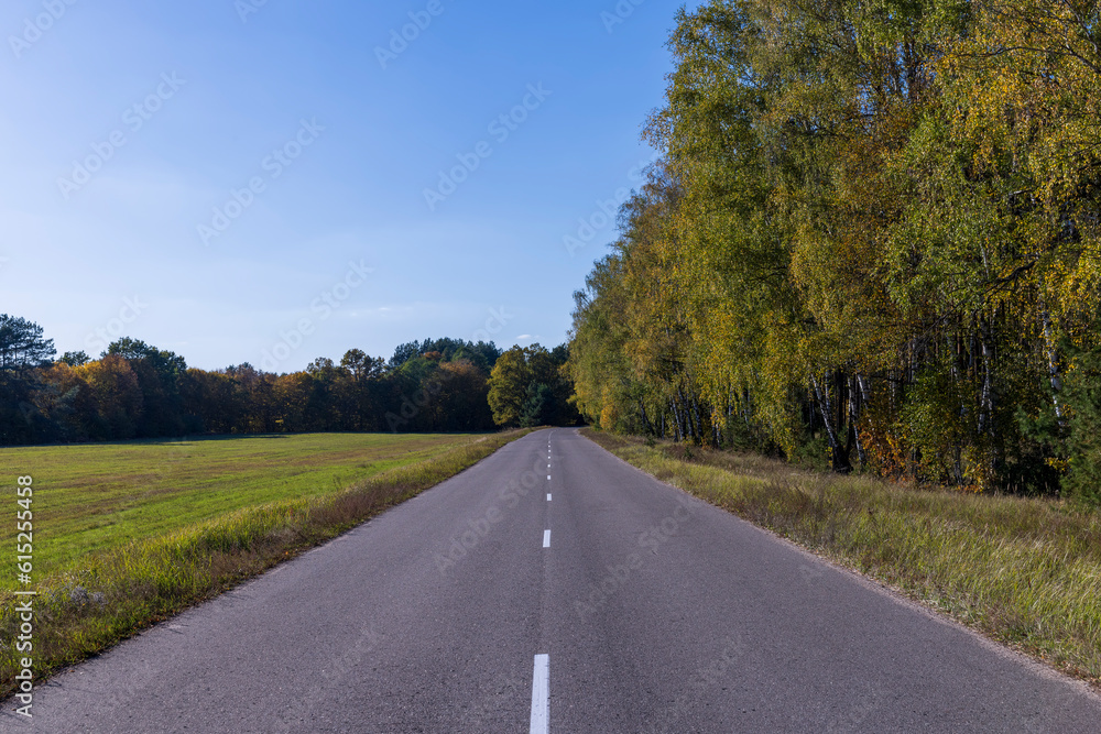 Paved road in the autumn season in sunny weather Paved road in the autumn season in sunny weather