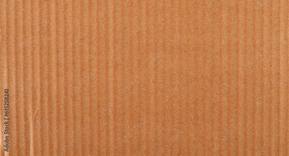 Fototapeta premium Cardboard background and texture
