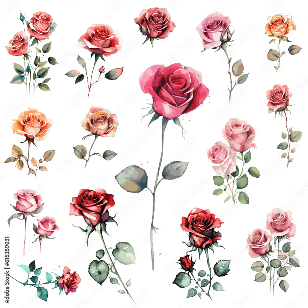 15 Rosen Aquarell Zeichnungen Transparent Vektor Grafik | Roses Watercolor Drawings Isolated Vector Graphics