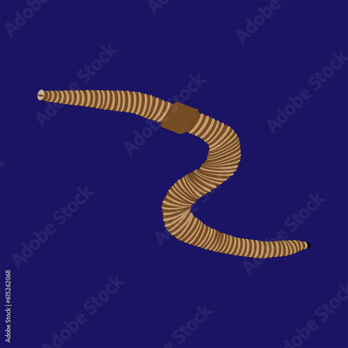 lombriz de tierra nombre científico lumbricus terrestris