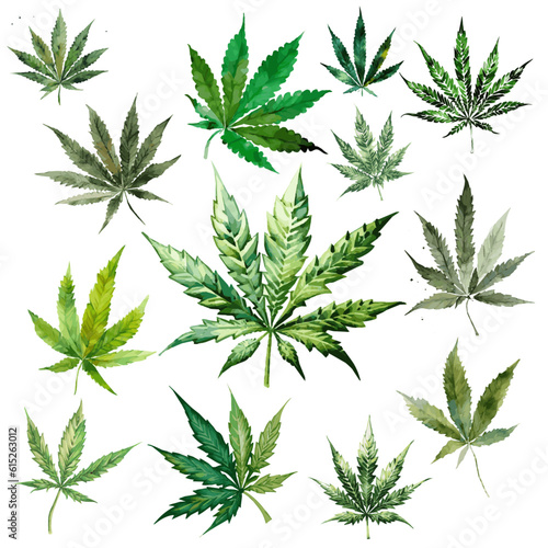 13 Hanfblätter Aquarell Zeichnungen Vektor Grafik | Cannabis Leaves Watercolor Drawings Vector Graphic