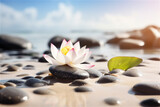 lotus flower outside in water next to black stones on sandy beach background. AI generated content