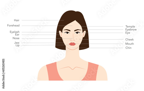 Diagram of woman head with names, parts of the face text labeled fashion Illustration Infographic with description. Flat female character front side girl scheme. Human lady infographic template 