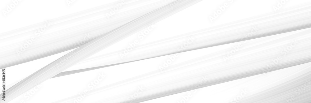 Obraz premium abstract white panorama and silver are light pattern gray with the gradient is the with floor wall metal texture soft tech diagonal background black dark clean modern.