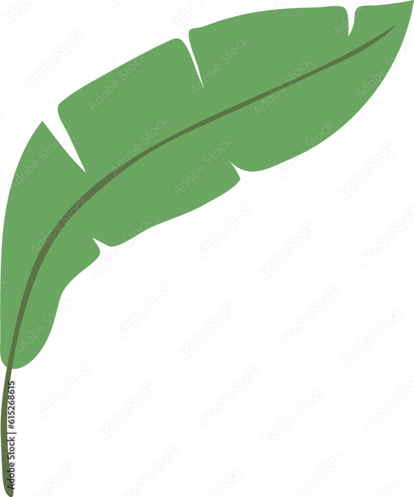 banana leaf flat style boho element, nature, plant, banana leaf flat style boho element, nature, plant,