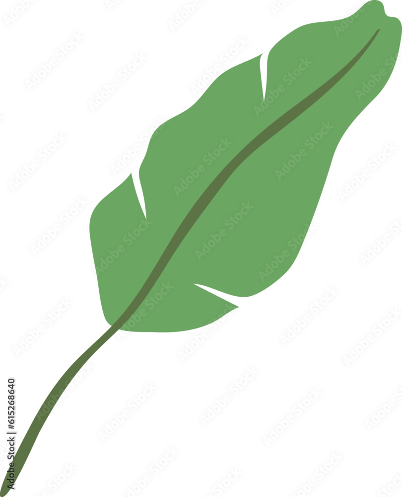 banana leaf flat style boho element, nature, plant, banana leaf flat style boho element, nature, plant,