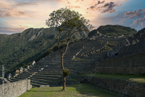 machu picchu