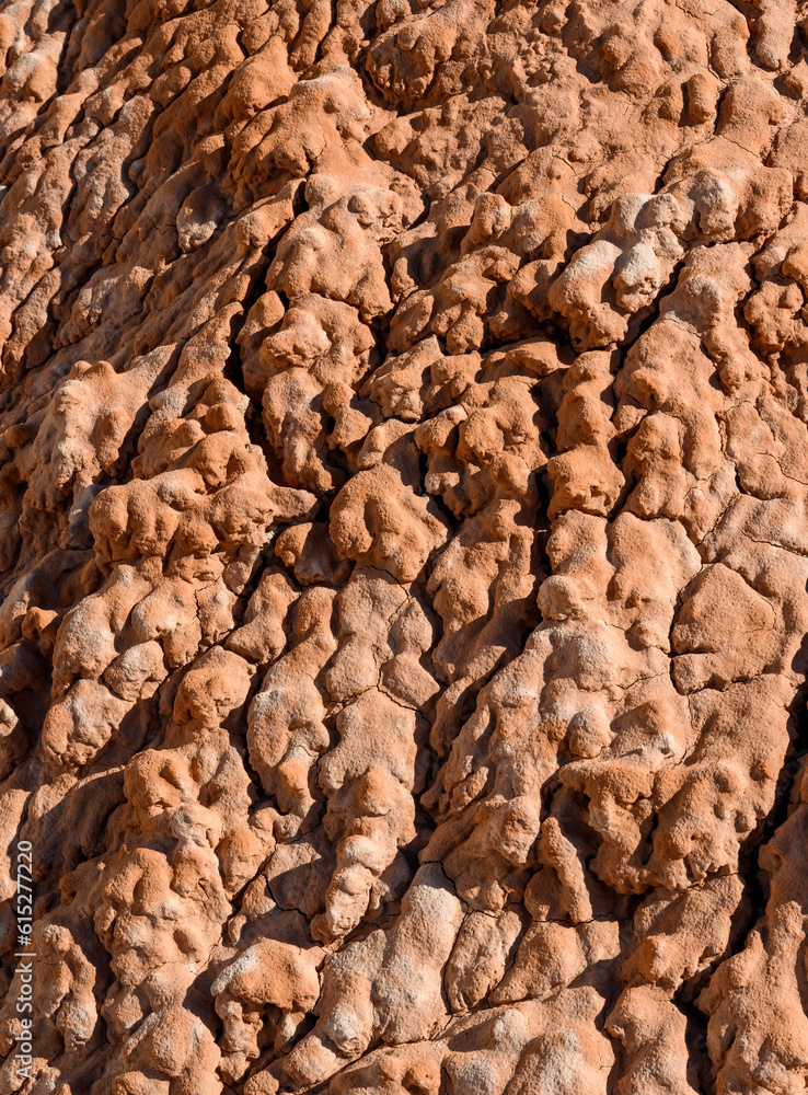 Abstract photograph of dried mud at Grand Staircase-Escalante National Monument, Utah. 