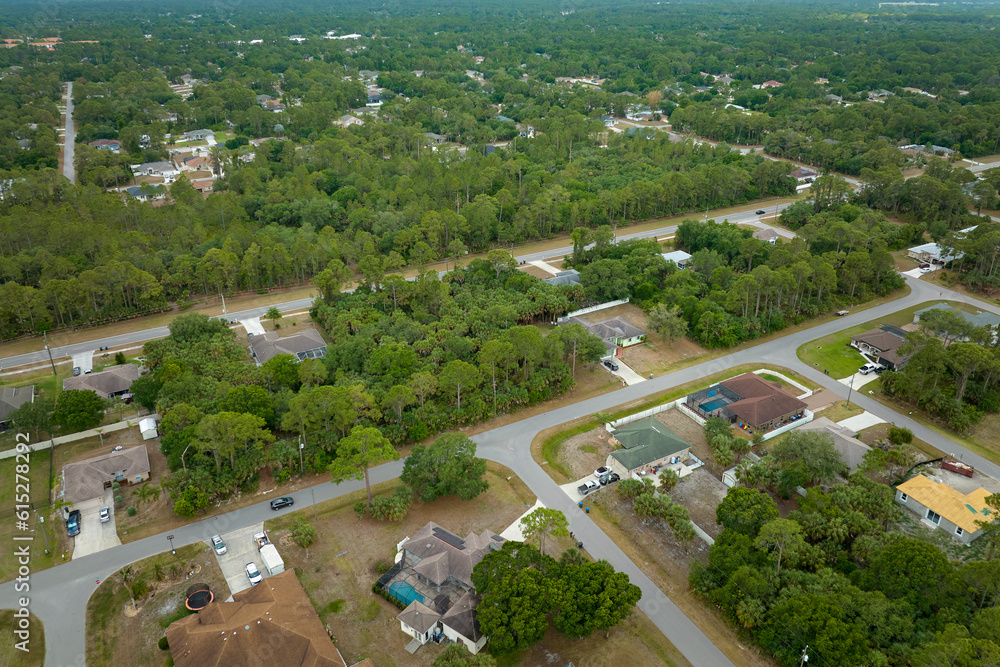 Aerial landscape view of suburban private houses between green palm trees in Florida rural area