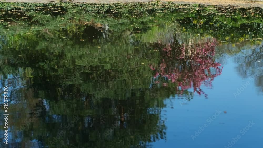Vibrant reflection of colorful trees and blue sky in a beautiful lake. Mirrored forest in a ripple water surface of the pond in a summer park. Abstract natural background, 4K. Vibrant reflection of colorful trees and blue sky in a beautiful lake. Mirrored forest in a ripple water surface of the pond in a summer park. Abstract natural background, 4K.