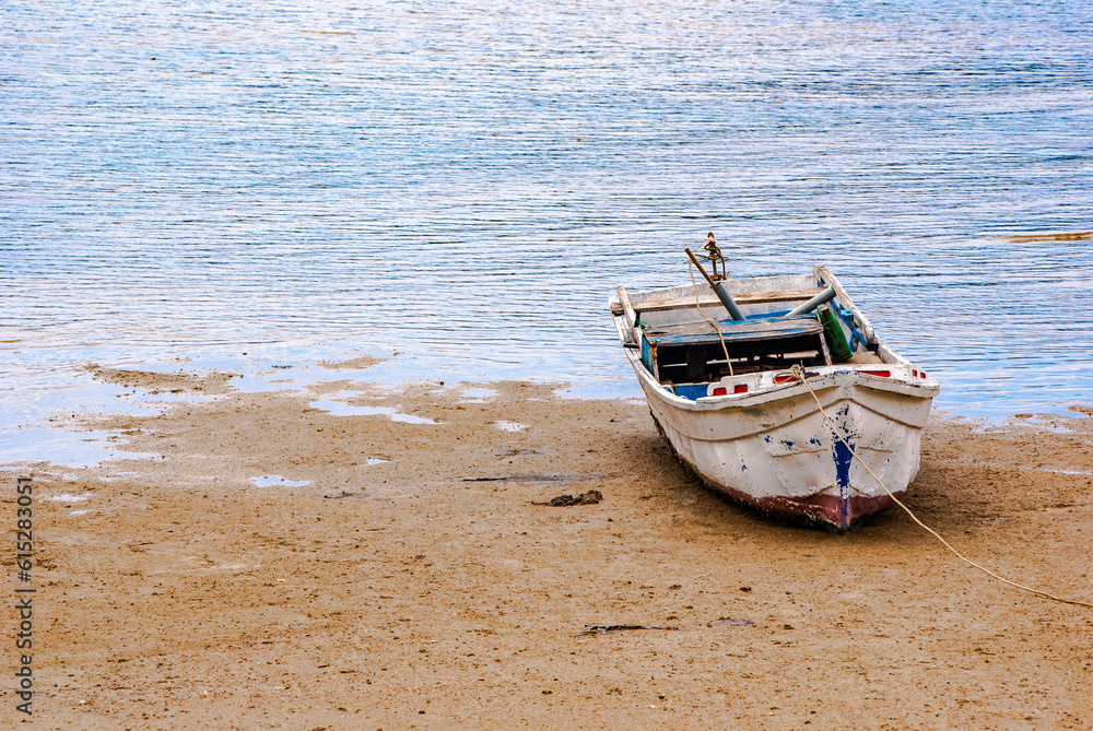 Naklejka premium boat on the beach