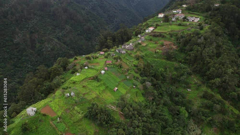 drone view small village, Forest after rain, Madeira, Portugal drone view small village, Forest after rain, Madeira, Portugal