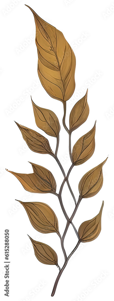 Obraz premium Watercolor autumn leaf.