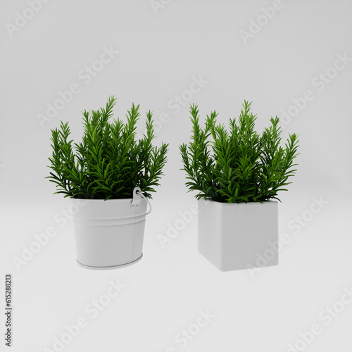 rosemary in a pot, 3d render