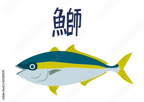 鰤　ブリ　ぶり　魚のイラスト photo