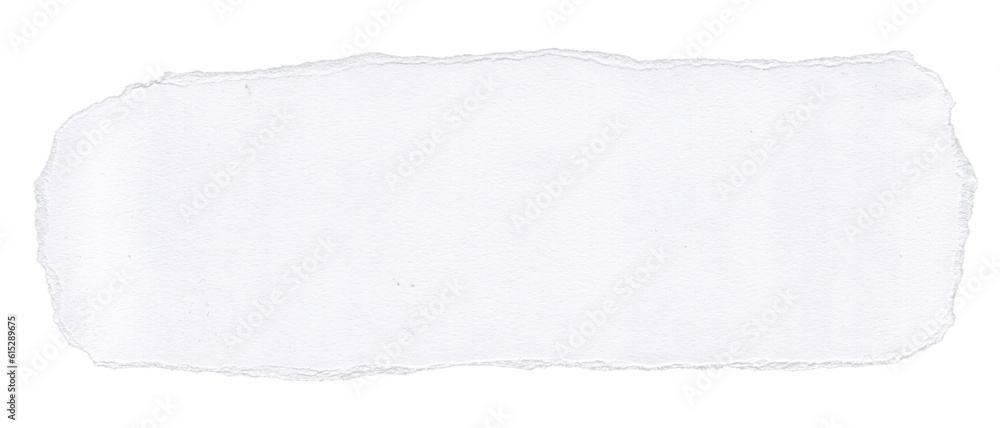 Fototapeta premium Stylish Ripped Paper Texture