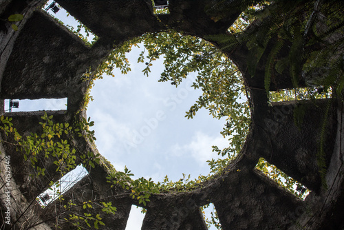 植物園の空