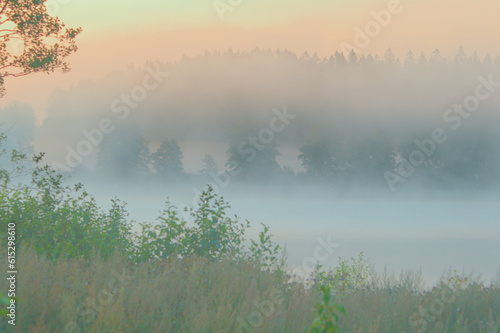 Background with misty forest lake at dawn