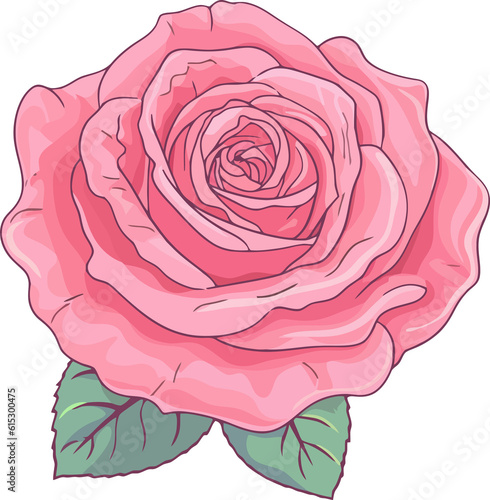 red pink rose illustration, romantic decorative flower