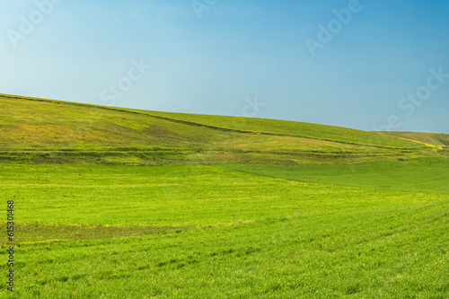 Green hill and blue sky. Spring green grass. Summer travel.Natural summer green background.
