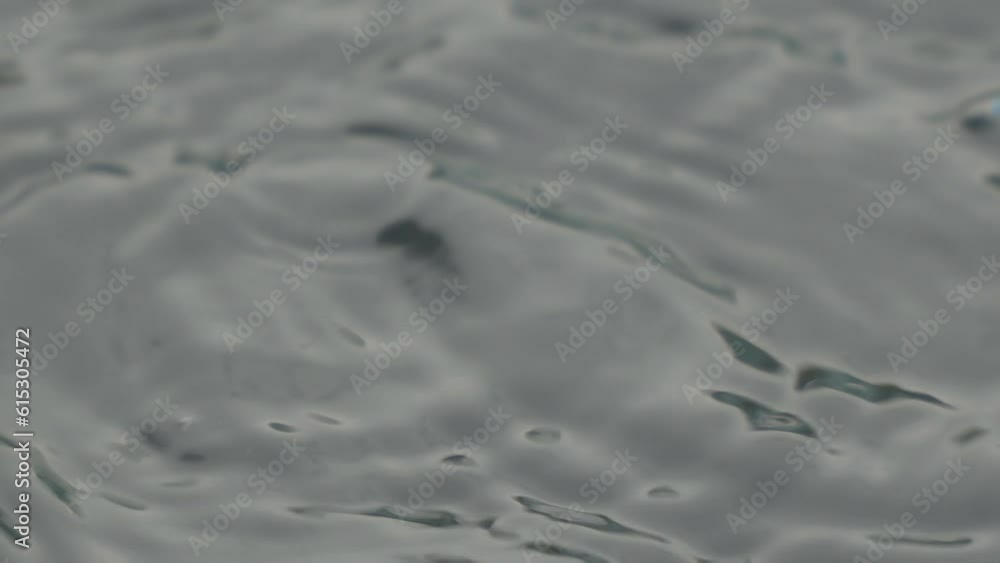 Drops drip on the surface of the water close-up Drops drip on the surface of the water close-up