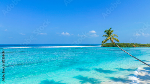 Summer palm tree and Tropical beach with blue sky background