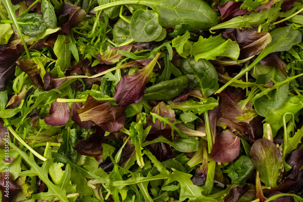 Fresh mix of salads with edible flowers. Top view. Fresh mix of salads with edible flowers. Top view.