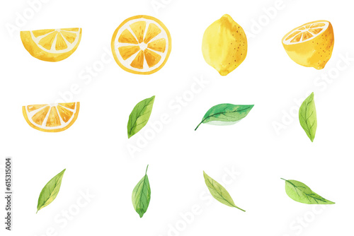 Vector watercolor illustration of lemons and leaves.