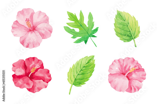 Vector watercolor illustration of hibiscus flowers and leaves.