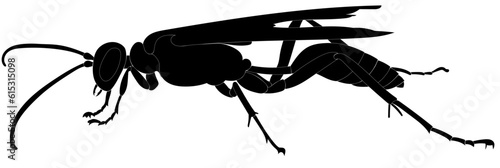 wasp silhouette with long legs and wings