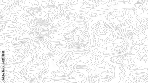 The stylized height of the topographic contour in lines and contours. Vector topography map with gray background