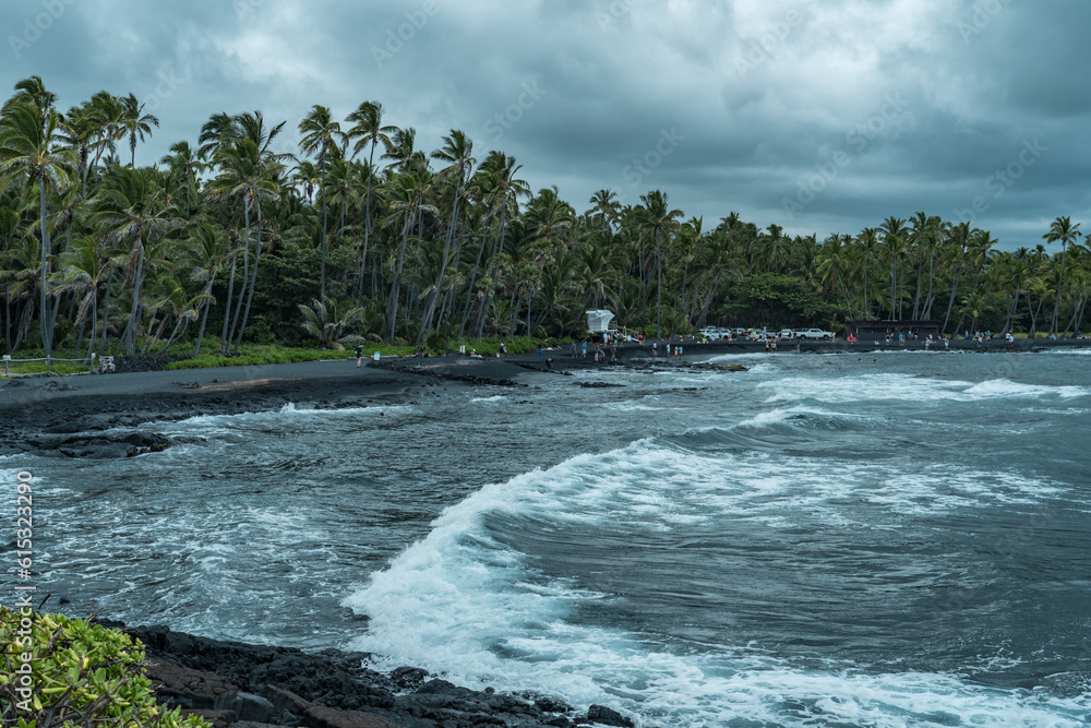 The coconut tree (Cocos nucifera) at Punaluu Black Sand Beach, Big island, Hawaii
The coconut tree (Cocos nucifera) at Punaluu Black Sand Beach, Big island, Hawaii