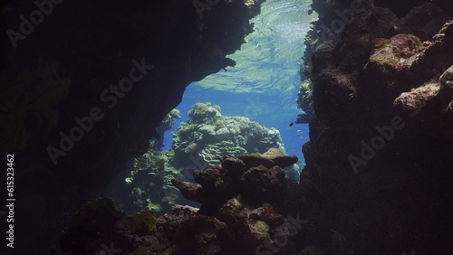Sunshine penetrate the underwater coral cave and illuminate it. Tropical fish swim inside coral caves in the sunrays penetrating from the surface, Red sea, Egypt