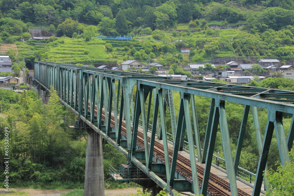 Fototapeta premium 高知県四万十川に架かる鉄橋