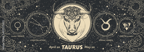 Taurus zodiac sign, vintage astrology graphic banner on mystical starry black background, horoscope. Modern realistic hand drawn vector illustration.