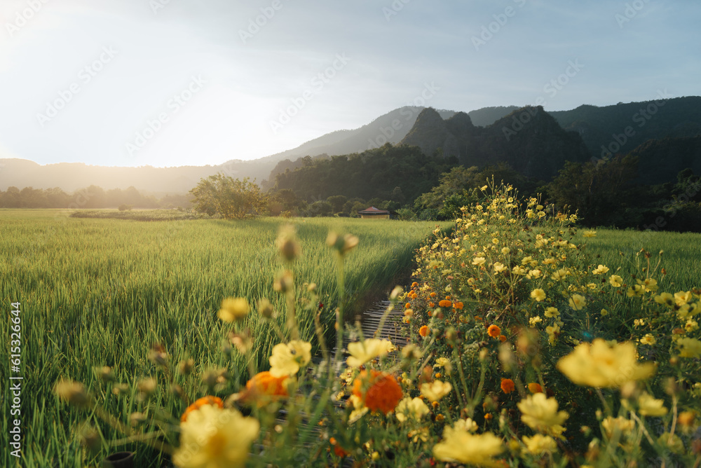 Fototapeta premium Hill village on Thailand's mountain