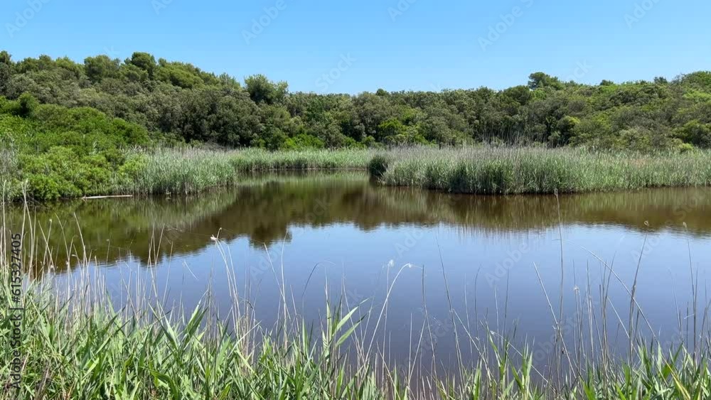 View of lake called Lago Grande in the famous bay of Portonovo, Conero park, Italy View of lake called Lago Grande in the famous bay of Portonovo, Conero park, Italy