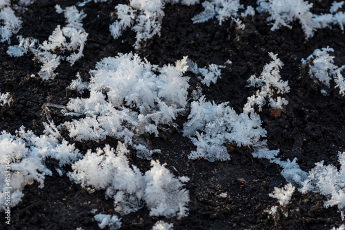 Snowflakes on a black background to add to your photos. Winter snow-covered background © Alena