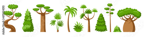 Flat trees and bush set. Deciduous and evergreen tropical stylized eco plants side view. Spruce maple baobab palm sequoia dracaena cypress thuja pine oak acacia. Cartoon green forest arboretum garden