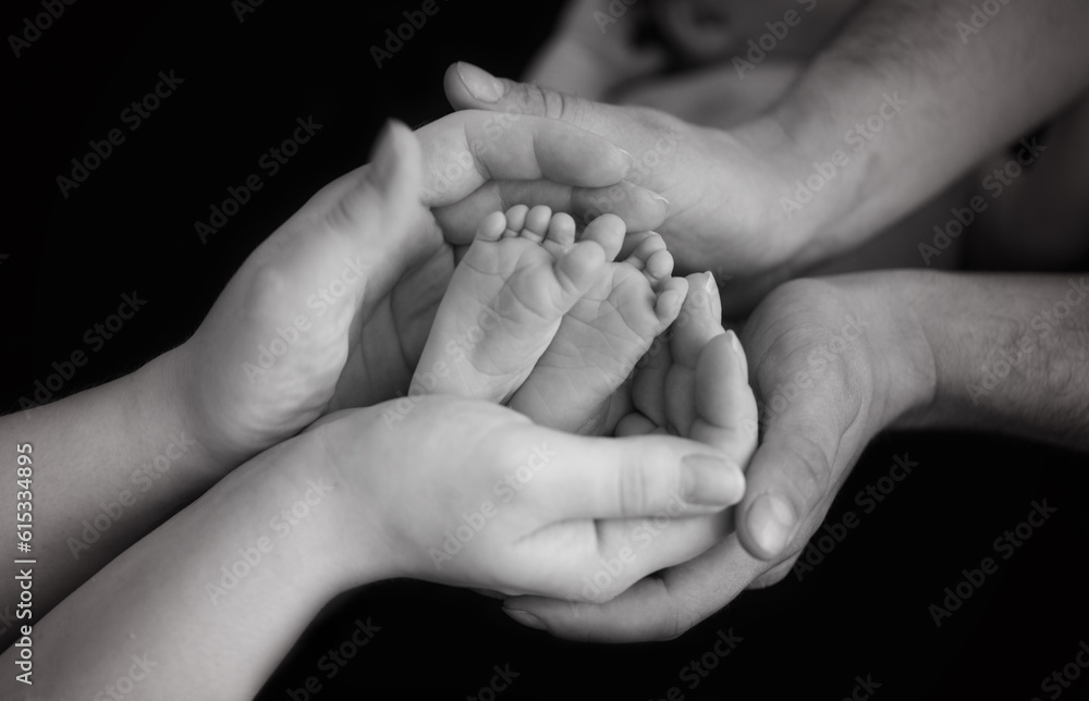 the legs of the child in the arms of the mother and the father the legs of a newborn baby . black and white photo the legs of the child in the arms of the mother and the father the legs of a newborn baby . black and white photo