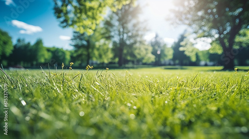 Blur park garden tree in nature background