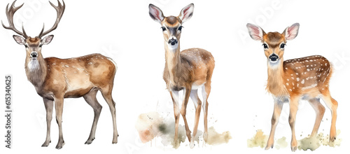 Watercolour illustration collection of red deers isolated on white background as transparent PNG, generative AI animal clipart bundle